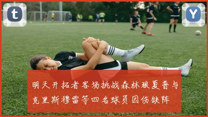 明天开拓者客场挑战森林狼夏普与克里斯穆雷等四名球员因伤缺阵