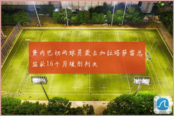 费内巴切两球员袭击加拉塔萨雷总监获16个月缓刑判决