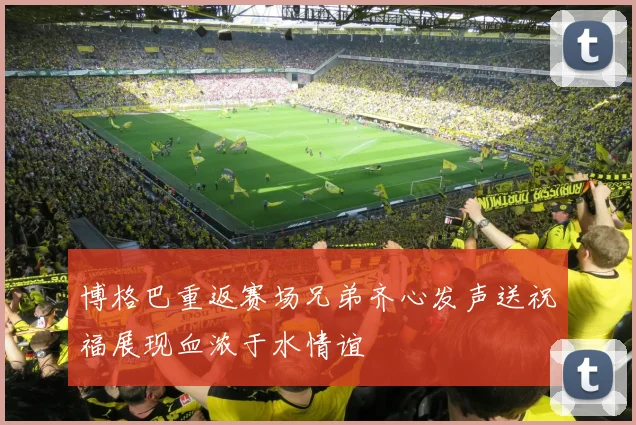 博格巴重返赛场兄弟齐心发声送祝福展现血浓于水情谊