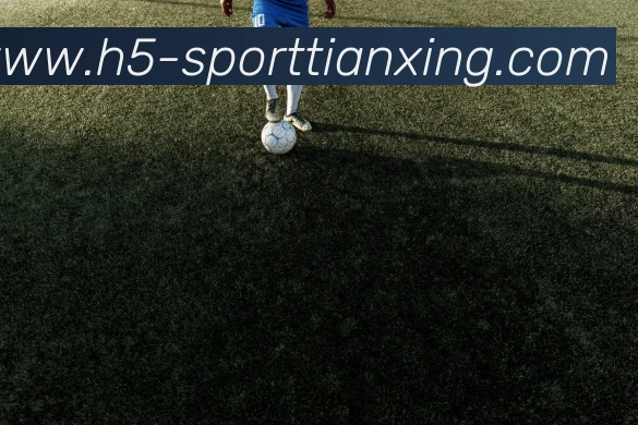 App Interface Preview